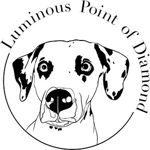 Luminous Point of Diamond - Kontakt - Luminous Point of Diamond